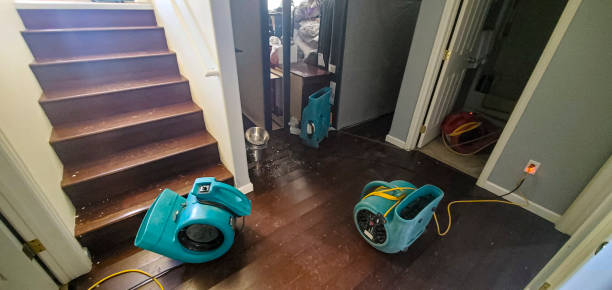Best Residential water damage restoration  in Lowry Crossing, TX