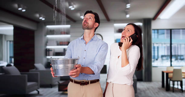 Best Water damage repair service  in Lowry Crossing, TX